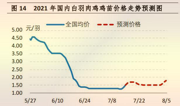 白羽肉鸡的最新价格