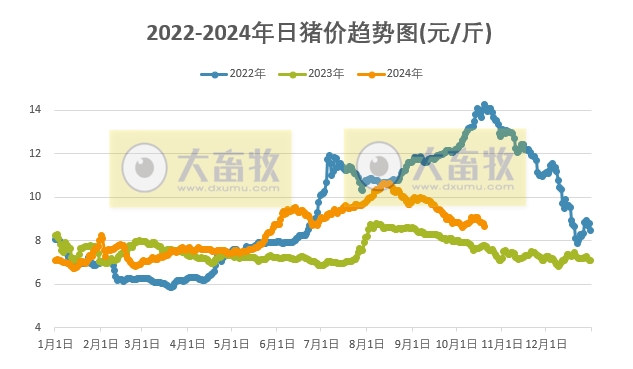 最新今日猪价分析与展望，市场走势及未来趋势解析