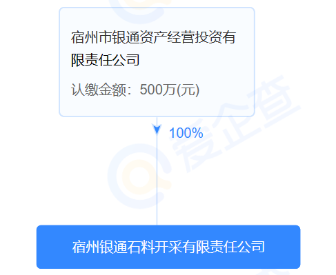 中铁十九局最新中标项目深度解析