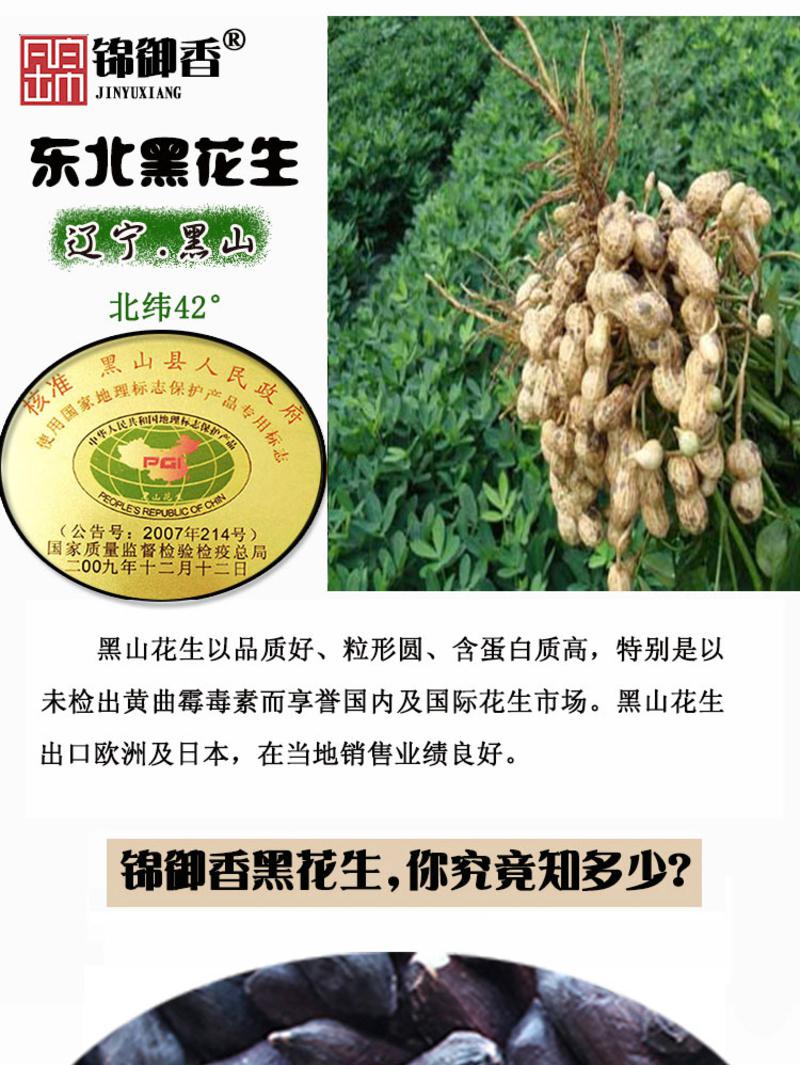 辽宁锦州花生最新价格动态解析