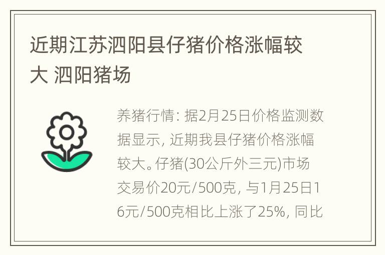 邳州猪肉价格动态分析，最新价格与市场趋势探讨