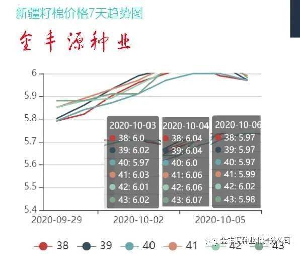 今日棉籽价格行情解析