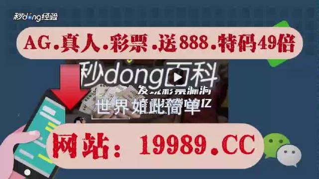 2024年新澳门天天开奖免费查询,实力执行解答解释_简易品3.698