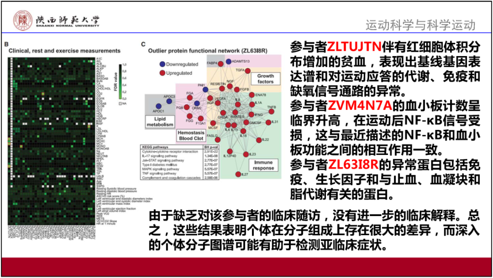 2024澳门正版,决策资料解释落实_潮流版3.739