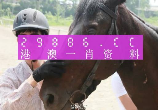 澳门一肖一码一中一肖246,全面解答解释落实_3DM7.239