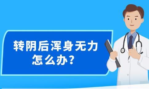 新澳精准资料免费提供最新版,最新正品解答落实_HD38.32.12