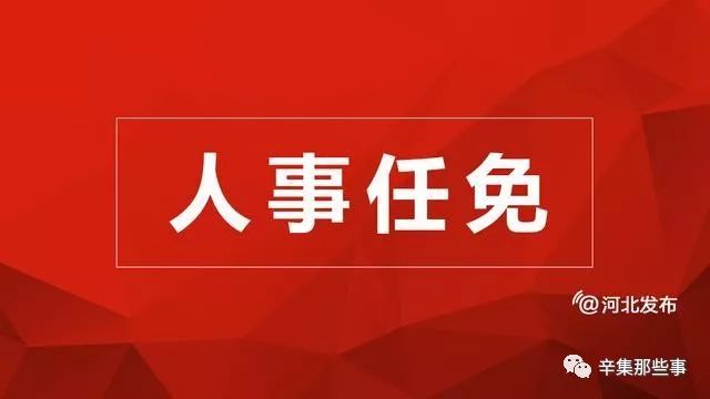 辛集最新副市长名单揭晓，职能与影响力解析