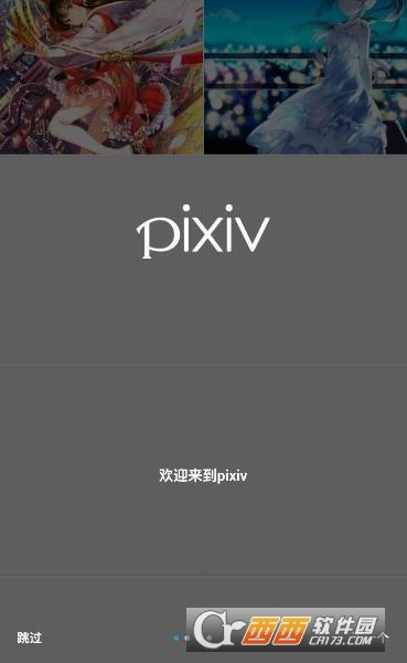 关于Pixiv最新破解版的探讨，警惕违法犯罪风险