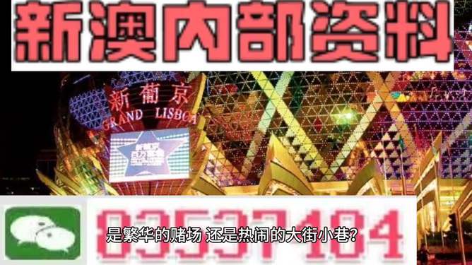 新澳门精准资料大全管家婆料客栈龙门客栈,决策资料解释落实_试用版7.236