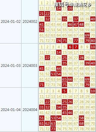 2024天天彩正版免费资料,理性解答解释落实_LT52.100