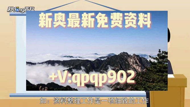 2024年正版资料免费完整版,准确资料解释落实_标准版90.65.32