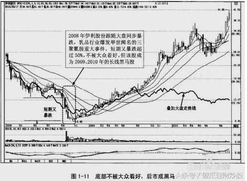 2024澳门特马今晚开奖结果出来了,过程解析方法解答分析_透视款1.435