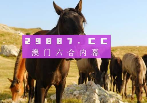 管家婆澳门一肖一码100精准2023,最新信息解答解释探讨_科技型80.617