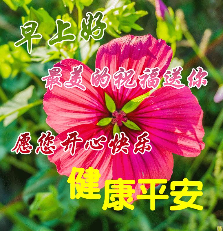 社交时代新篇章，最新朋友圈的沉浸式体验