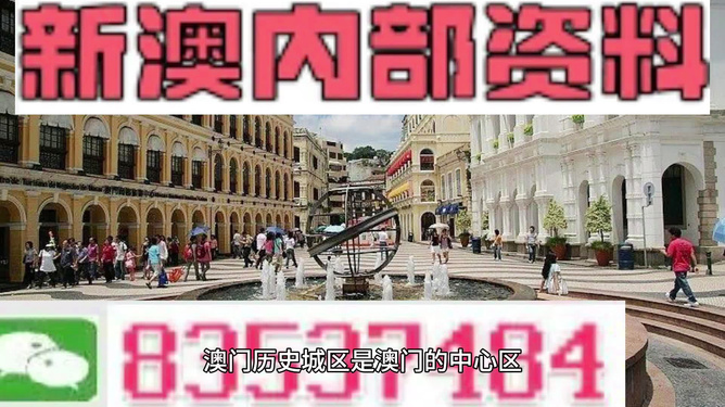 新澳门精准资料管家婆料,动态词语解释落实_游戏版256.183