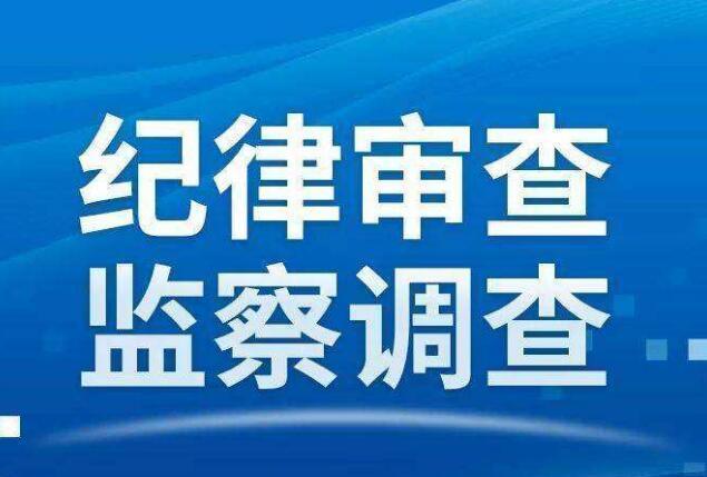 宋伟杰被审查的最新动态与影响分析